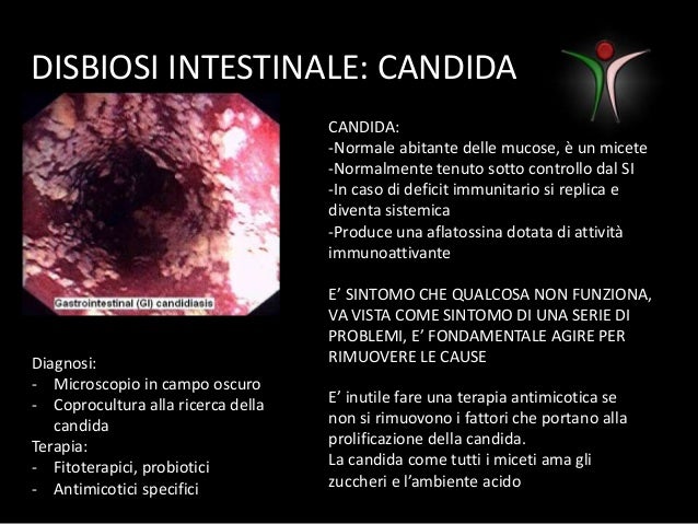 terapia candida terapia candida